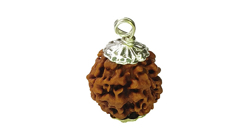 4 Mukhi Rudraksha