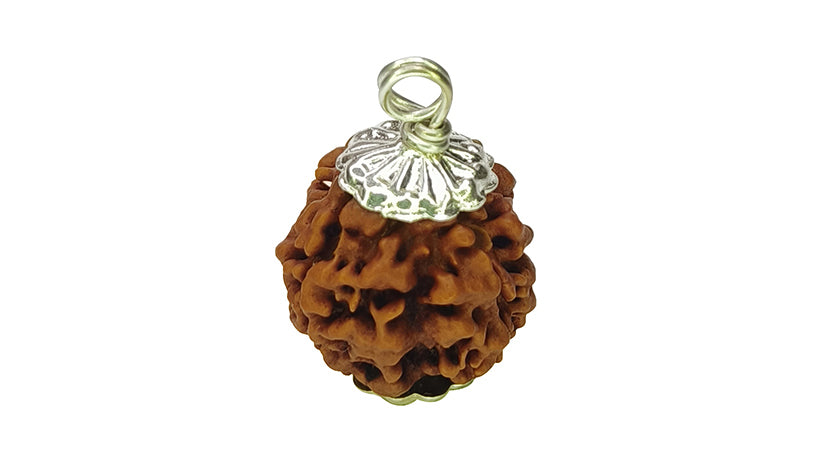 4 Mukhi Rudraksha