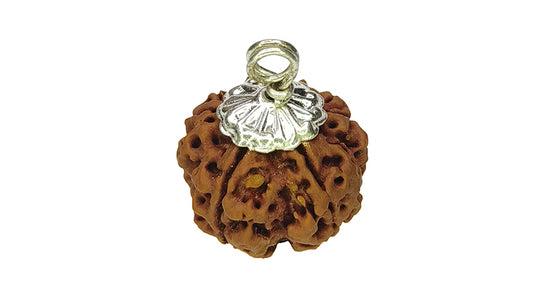 5 Mukhi Rudraksha