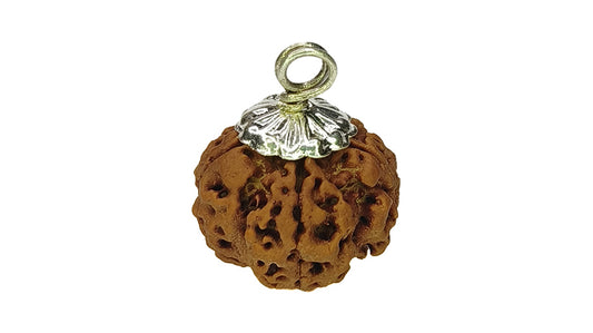 5 Mukhi Rudraksha