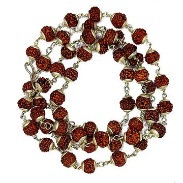 Rudraksha Mala : 6 Mukhi (Six Face)