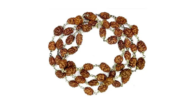 Two Face (2 Mukhi) Rudraksha Mala (54 beads)