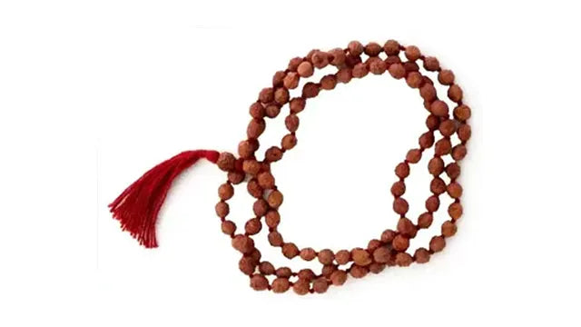 Two Face (2 Mukhi) Rudraksha Mala (108 beads)
