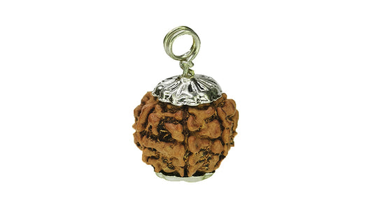 7 Mukhi Rudraksha