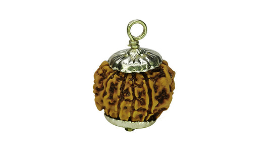 9 Mukhi Rudraksha