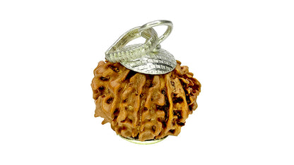 9 Mukhi Rudraksha