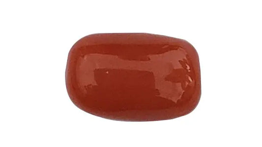 Red Coral Gemstone  (Moonga) 6.00 Ratti