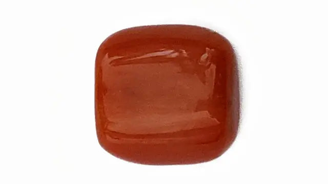 Red Coral Gemstone  (Moonga) 11.40 ratti