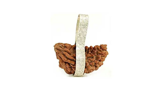 1 Mukhi Rudraksha