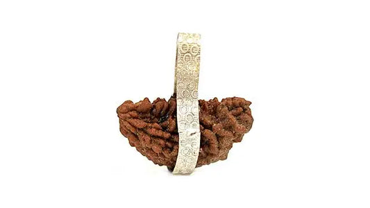 1 Mukhi Rudraksha