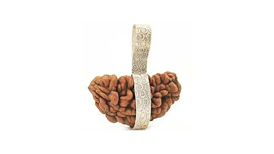 1 Mukhi Rudraksha
