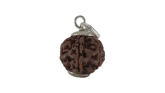 7 Mukhi Rudraksha